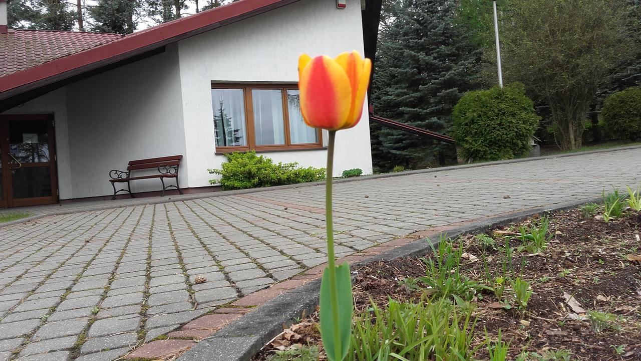 Osrodek Szkoleniowo - Wypoczynkowy Guzianka Hotell Ruciane-Nida Exteriör bild